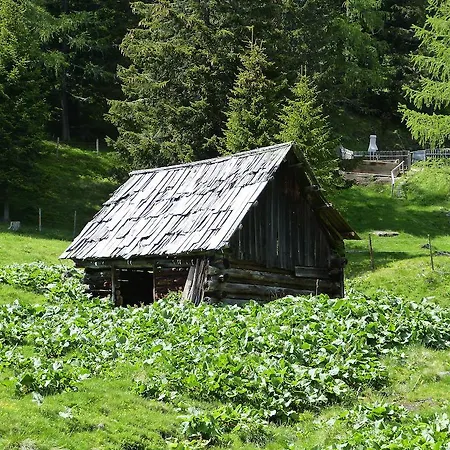 Almhuette Schmoelzer